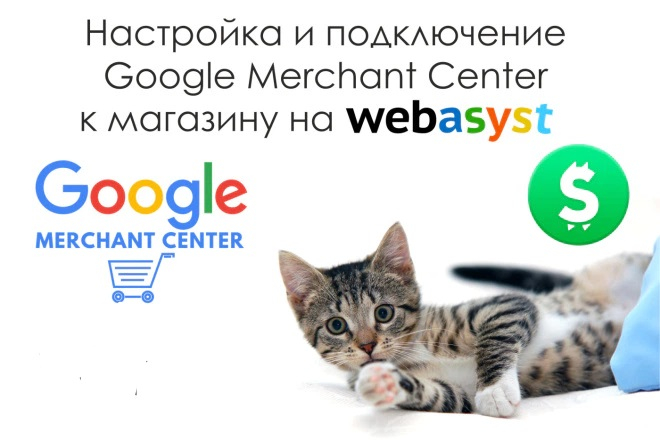 Подключение и настройка магазина на Webasyst к Google Merchant Center