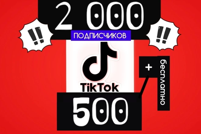  Безопасно 2500 подписчиков в  TikTok.